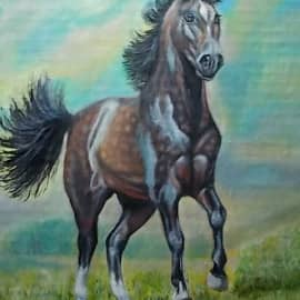 DSCN3110   Степной ветер.