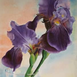 Ирис