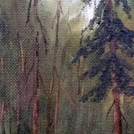 В лесной чаще