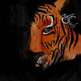 Тигр 