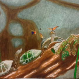 Ты кто? Знакомство