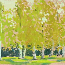 Березки в Мостовой