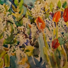 черёмуха цветёт