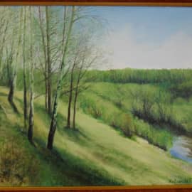 Река дон.Весна