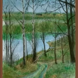 река Жиздра близ Козельска. Осень.