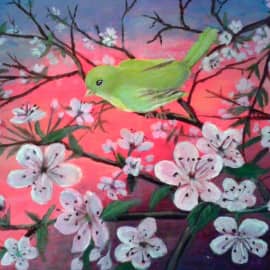 Райская птичка