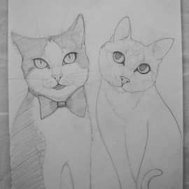 Рисунок. Кошарики.