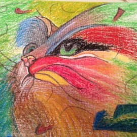 Мои котики, сюжет 2