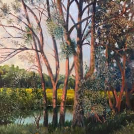 На реке Пьяна