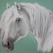 Белая лошадка, художник Валерия Гайворонская