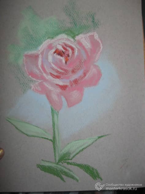 Роза (пастель)
