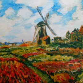 Поля тюльпанов