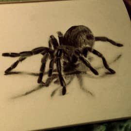 Паук, сюжет 2