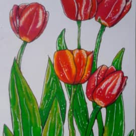Весенние тюльпаны
