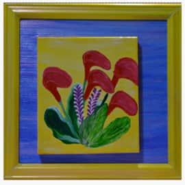 Красные каллы