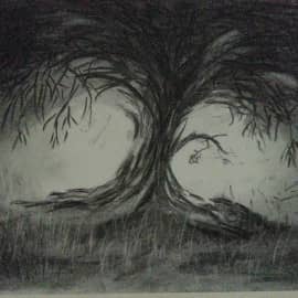 Оливковое дерево