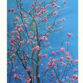 Магнолия 2009