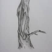 Дерево-фрагмент