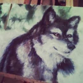 Добрый хищник