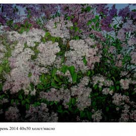 Сирень 2014 40х50 холст.масло