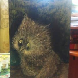 Совиная школа