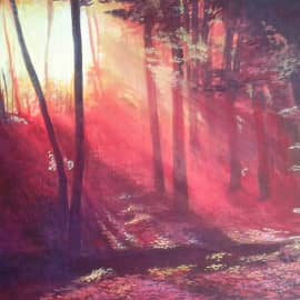 Лучи в лесу