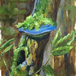 Древесный гриб