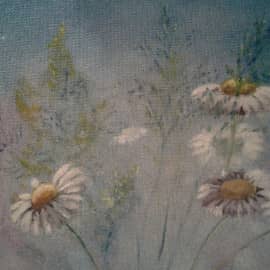 Ромашковое поле