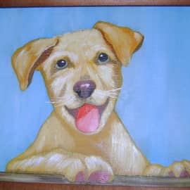 Где моя косточка?