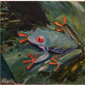 Лягушка невозмутимость