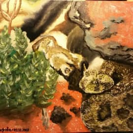 Рогатая гадюка