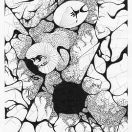 Камлание шамана