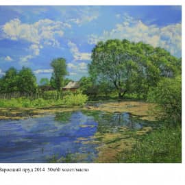 Заросший пруд 2014 50х60 холст масло