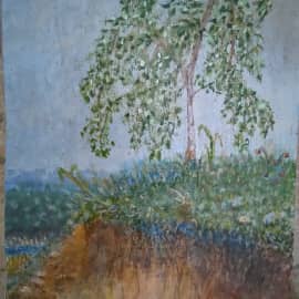 Донская берзка