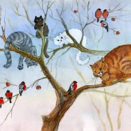 Снегири и коты