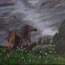 Гроза майская