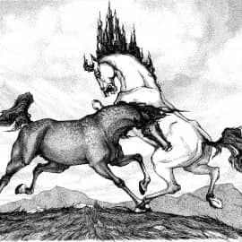 Дерущиеся лошади, сюжет 2