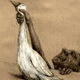 Лети моя птичка,лети...