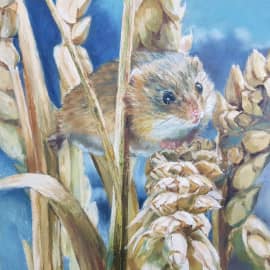 Мышиные истории. 2 (Высоко сижу, далеко гляжу!)