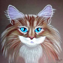 Пушистое чудо-2