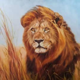 Территория большой кошки. 2 (Кто тут главный?)