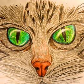 Кошачий глаз