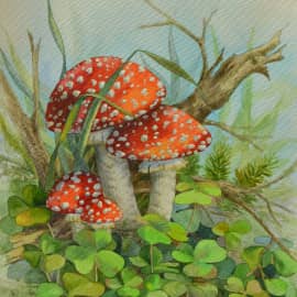 Мухоморчики 2