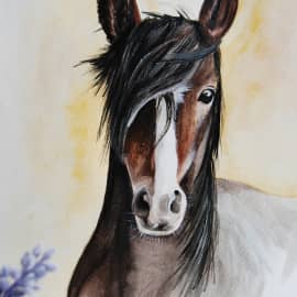 Портрет лошади