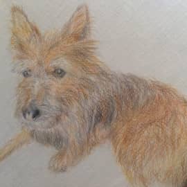 Сосредоточенность