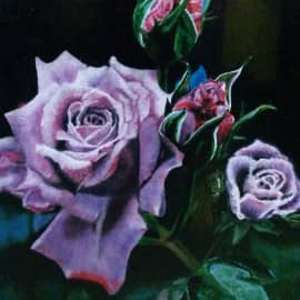 Розы.Начало