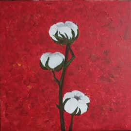 Хлопчатник