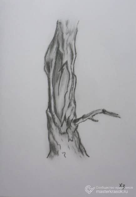 Дерево-фрагмент