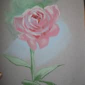 Роза (пастель)