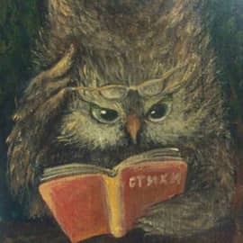 Совиная школа, сюжет 3